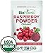 Biofinest Raspberry Juice Powder - 100% Pure Freeze-Dried Antioxidants Superfood - USDA Organic Vegan Raw Non-GMO - Boost Digestion Weight Loss - For Smoothie Beverage Blend (4 oz Resealable Bag)