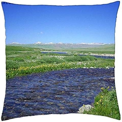 Bara Pani Deosai Skardu - Throw Pillow Cover Case (18
