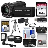 Panasonic HC-V770 Wireless Smartphone Twin Wi-Fi HD Video Camera Camcorder + 64GB Card + Case + LED Light + Microphone + Tripod + Tele/Wide Lens Kit
