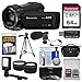 Panasonic HC-V770 Wireless Smartphone Twin Wi-Fi HD Video Camera Camcorder + 64GB Card + Case + LED Light + Microphone + Tripod + Tele/Wide Lens Kit