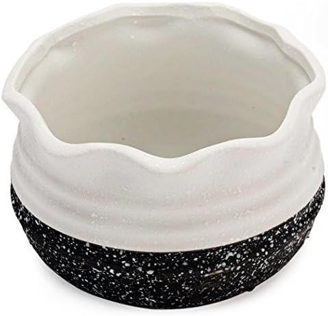 EPGardening Delicate Ceramic Flower Planter Pot/Succulent Plant Container,5.1 Inch,Black &amp;white