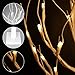 Lighted Birch Tree, Warm White, YUNLIGHTS 2.3ft 30LEDs 8 Modes Desk Top Bonsai Birch Tree with White Branches for New Year Home Wedding Party Indoor Outdoor