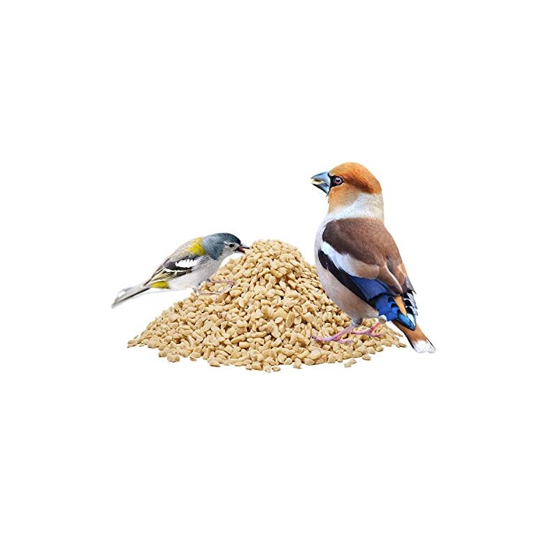 Pauls Mühle Erdnüsse geviertelt gehackt Premiumqualität KatzeHund