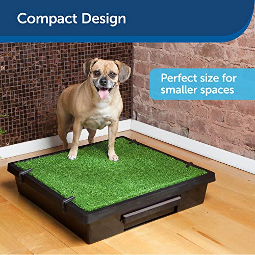 PetSafe-Pet-Loo-Portable-IndoorOutdoor-Dog-Potty-Alternative-to-Puppy-Pads-3-Size-Options-for-Small-Medium-and-Large-Breeds