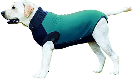 surgi suit for dogs