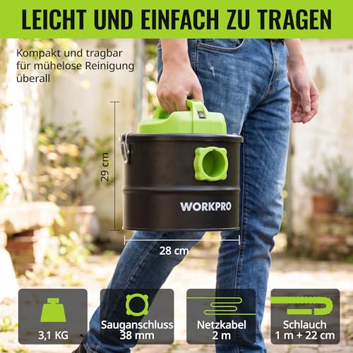 WORKPRO Aspirador de Cenizas 10L 700W con Función Soplado | Aspiracenizas para Chimeneas, Estufas y Barbacoas, Depósito Metálico, Filtro F9 Lavable, 16 kPa, Tubo Metálico