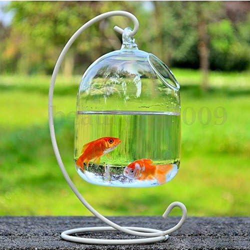 New Hanging Mount Bubble Aquarium Fish Glass Vase Tank Plant Home Decoration 16x10cm Set23