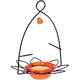 Birds Choice Oriole Bird Feeder | Flower-Shaped Hanging Bird Feeder for Jelly & Orange Halves | Removable Cup & Fruit Pegs with Heart Ornament | Sturdy for Garden & Backyard | 3 oz Capacity, Orange