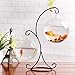 2PCS Ornament Display Stand Yblntek Ornament Holder Display Stand Iron Hanging Stand Rack Holder for Glass Globe Air Plant Terrarium Witch Ball and Home Party Wedding Easter Decoration (Black)