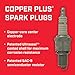 Champion Copper Plus 404 (RN12YC) Pack of 1 (UPC 037551000180)