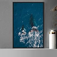 Framed Canvas Wall Art Fish on The Surface Bedroom Dolphin Marine Life Multicolor Nautical Photography - 16x24 inches