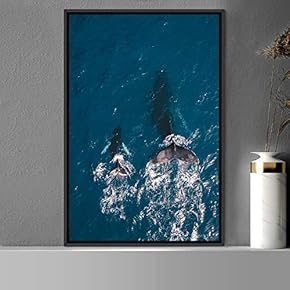 signwin Framed Canvas Wall Art Fish on The...