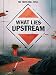 What Lies Upstream
