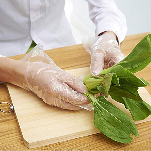 5 Disposable+Food+Prep+Gloves+Transparent