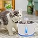 Beacon Pet Cat Water Fountain Stainless Steel, LED 81oz/2.4L Automatic Pet Fountain Dog Water Dispenser with 1 Replacement Filters for Cats Dogs Birds