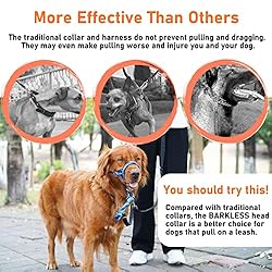 BARKLESS Head Collar for Dogs, No Pull Printed