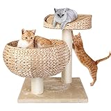 Pedy Cat Tree with Scratching Post, Sisal-Covered Climbing Cat Tower, Cat Activity Tree with Paper Rope and Cat Tree House with Perch, 2 Story Cat Condo Great for Kitten