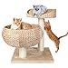 Pedy Cat Tree with Scratching Post, Sisal-Covered Climbing Cat Tower, Cat Activity Tree with Paper Rope and Cat Tree House with Perch, 2 Story Cat Condo Great for Kitten