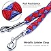 PETBABA Double Leash for Two Dogs, 4.6ft Heavy Duty Tangle Free Splitter Coupler, Strong Dual Lead Split, Soft Padded Handle, for Walking 2 Medium Large Dogs That Pull - Red-Blue