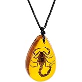 POYAMUSE Real Scorpion Pendant Necklace for Men and Women - Resin Bug Necklace, Scorpion Pendant Necklace - Amber Insect Necklace