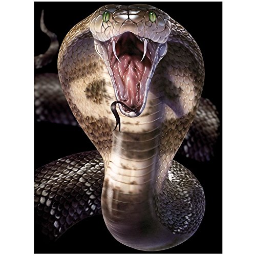 3D LiveLife Jotter - Cobra from Deluxebase. Lenticular 3D Snake A6 Spiral Notebook with plain recycled paper pages. Artwork licensed from renowned artist David Penfound