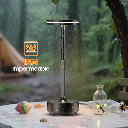 Hapfish Wireless LED Table Lamp, 5000mAh 2 PCS Bedside Lamp with USB Rechargeable Battery, Powerful Battery Desk Lamp, 3 Color Temperatures, for Indoor/Outdoor Restaurant, IP54