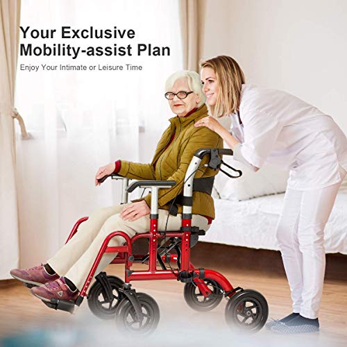 Rollator Transport Chair Combo with 10" Wheels for All Terrain