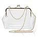 Jyouhin Clear Purse Crossbody Messenger Shoulder Bag for Women Chain Strap, NFL Stadium Approved (Clear)