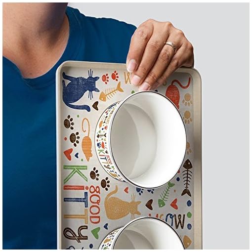 magnetic dog bowl
