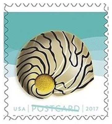 Seashells Postcard Stamp USPS Forever Stamps, Roll of 100 - US Postage Card Stamps