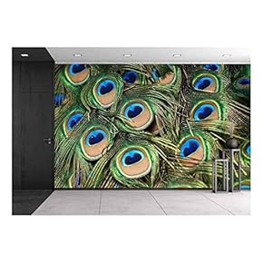 Beautiful Vivid Peacock Feathers - Canvas Art Wall Decor - 66"x96"