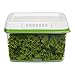 Rubbermaid FreshWorks Produce Saver Food Storage Container, Small and Large, Green, 2-Piece Set 1951433