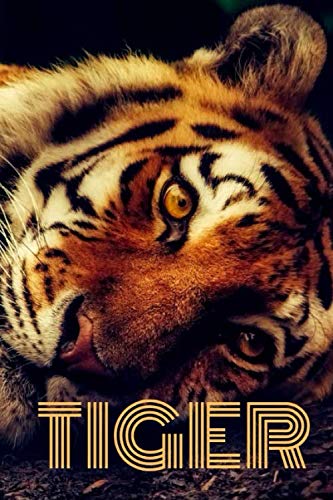 Tiger: Notebook with Animals for Kids and Adults, for Drawing Coloring and Writing (Colorful & Carto by Animal Journals