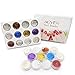 ALIVER Nail Art Glitter Powder Dust Mirror Chrome Effect Dust Shinning Art DIY Magic Holographic Pigment Set with Sponge Stick 12 Colors … (12 colors)