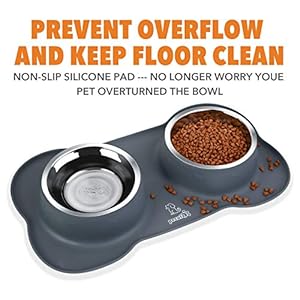 Pecute Ciotola per Gatti 3 in 1, Ciotola per Cani, Doppia Ciotole in Acciaio Inossidabile + 1 Tappetino Sottociotola… - immagine 4