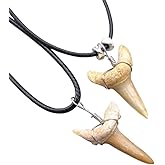 AWXZOM 2pcs Natural Shark Tooth Necklace, real Fossil Shark Teeth for Men, women,shark teeth jewelry