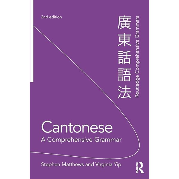 Chinese: A Comprehensive Grammar (Routledge Comprehensive