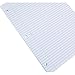 Staples College Ruled Filler Paper, 8 1/2 x 11, 400 Sheets