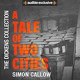 Bargain Audio Book - A Tale of Two Cities
