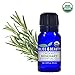 Organic, Rosemary Essential Oil - Premium 100% Pure, USDA Organic, Natural Therapeutic Grade, baby-oils, hair-treatment-oils, body-oils, facial-oils, scented-oils (10 ml)
