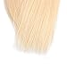 613 Bundle Straight Bundles with Closure 100% Unprocessed Brazilian Virgin Straight Hair Honey Blonde1 Bundle (14inch)
