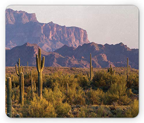 Ambesonne Saguaro Mouse Pad, Arizona Desert