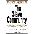 The Slave Community: Plantation Life in the Antebellum South