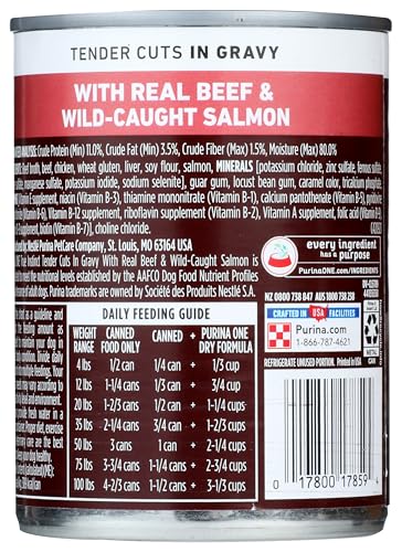 PURINA ONE® SMARTBLEND® TRUE INSTINCT BEEF & SALMON WET TENDER CUTS IN GRAVY DOG FOOD