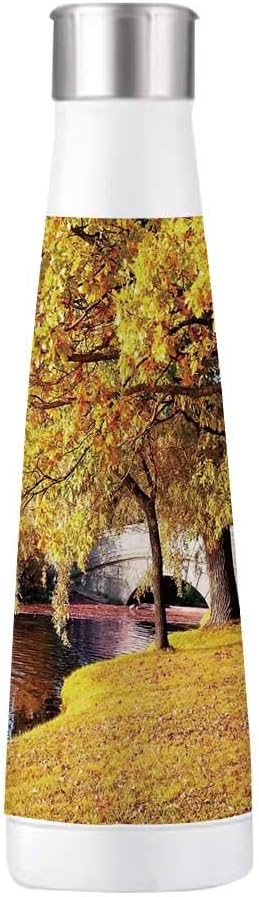 Best Vacuum Repair St Petersburg Fl