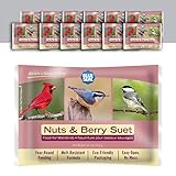 11oz Year Round Premium Nuts & Berry Suet Cake 12pk