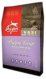 Orijen Large Breed Puppy - 28.6lb