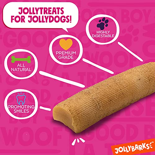 JollyBarks Yak Cheese Himalayan Dog Chews Yak Chew Dog Bones for Large