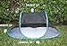 Nala and Company - The Cat House Outdoor Pet Enclosure for Indoor Cats - 43