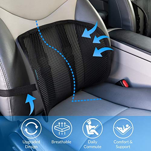 Easy Posture Lumbar Support (New Double Premium Mesh w/Adjustable Lock